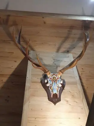 Executive Daire, 3 Yatak Odası (Gipfel Lodge, inkl. 85€ Reinigung)