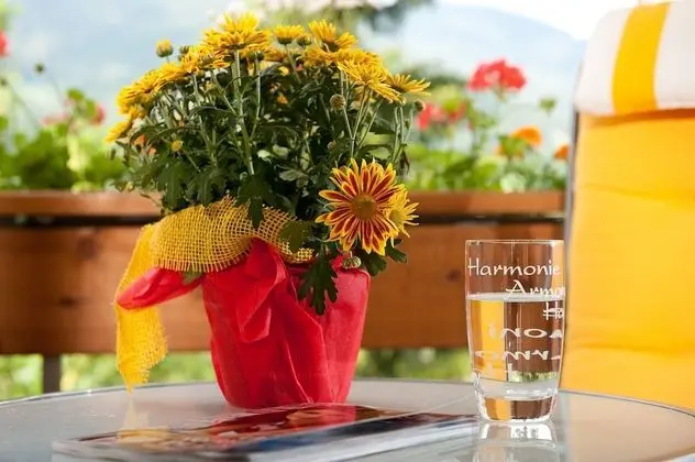 Superior Üç Kişilik Oda, Manzaralı