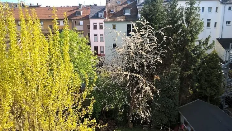 Comfort Stüdyo, Balkon, Bahçe Manzaralı