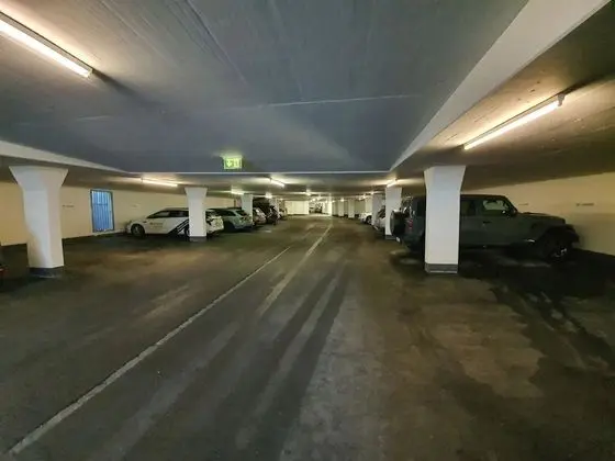 Ev
