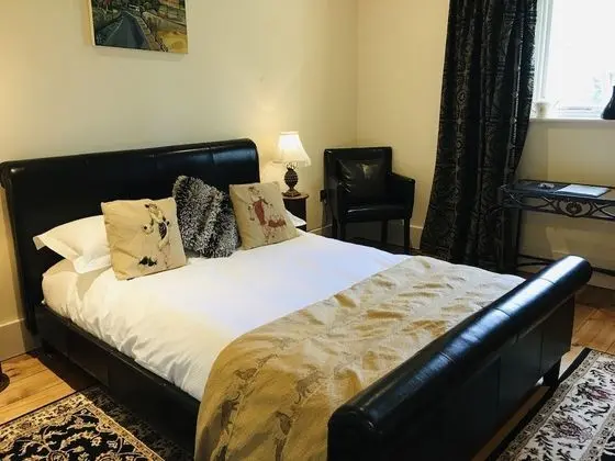 Standard Tek Büyük Yataklı Oda, 1 En Büyük (King) Boy Yatak