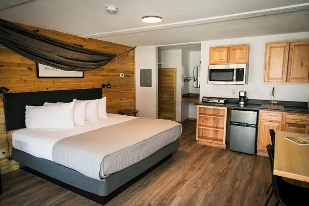 Deluxe Oda, 1 En Büyük (King) Boy Yatak