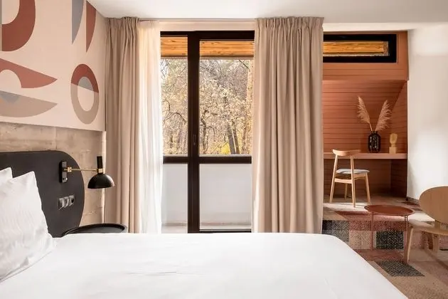 Superior Tek Büyük Yataklı Oda