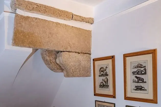 Stüdyo Süit, Şehir Manzaralı