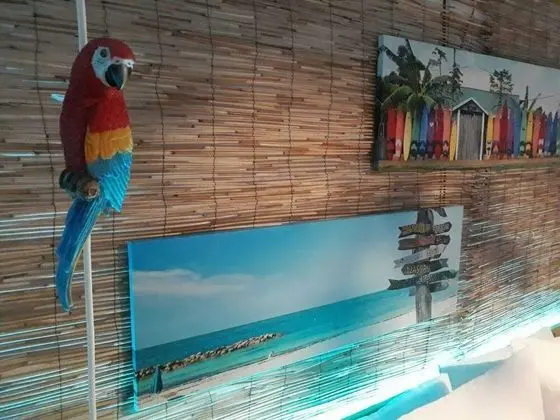 Apart Daire, Banyolu/Duşlu