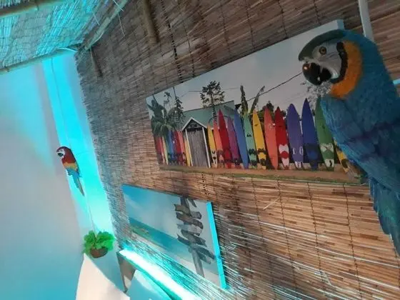 Apart Daire, Banyolu/Duşlu