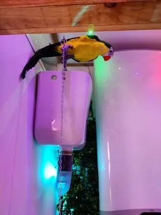 Comfort Tek Büyük Yataklı Oda, Banyolu/Duşlu