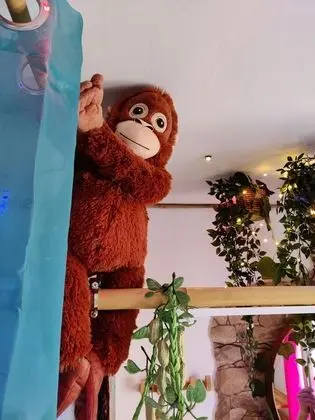 Comfort Tek Büyük Yataklı Oda, Banyolu/Duşlu