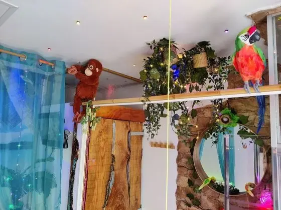 Comfort Tek Büyük Yataklı Oda, Banyolu/Duşlu