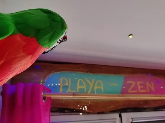 Comfort Tek Büyük Yataklı Oda, Banyolu/Duşlu