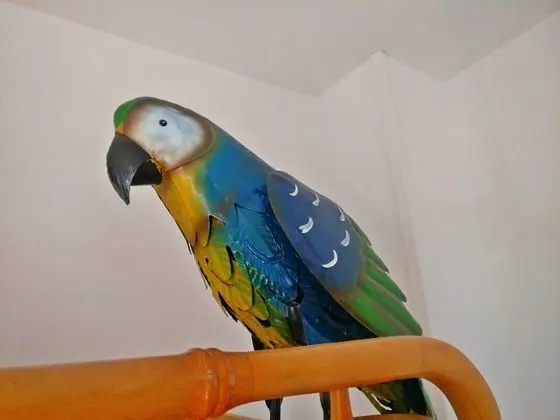 Classic Tek Büyük Yataklı Oda, Özel Banyo