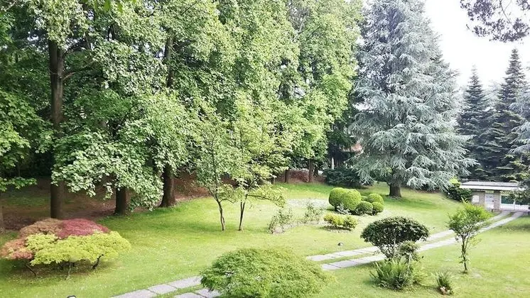 Villa, 5 Yatak Odası, Şömine