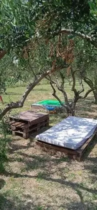 Ev, Birden Çok Yatak