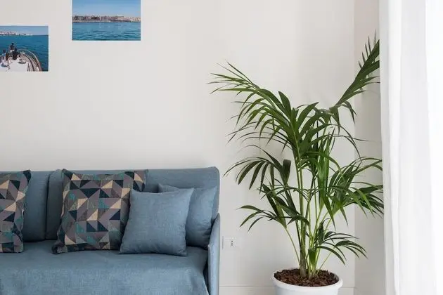 Apart Daire, 1 Yatak Odası, Balkon (Dionisio)