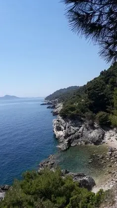 Oda, 1 Yatak Odası, Sigara İçilebilir, Teras