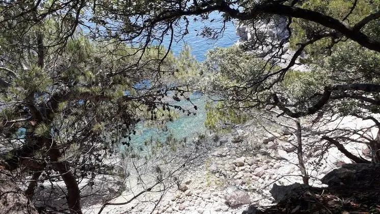 Oda, 1 Yatak Odası, Sigara İçilebilir, Teras