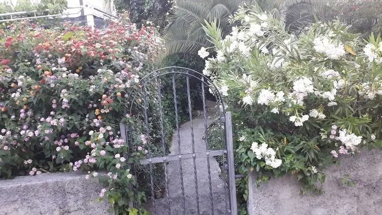 Oda, 1 Yatak Odası, Sigara İçilebilir, Teras