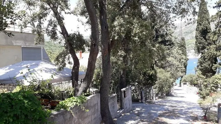 Oda, 1 Yatak Odası, Sigara İçilebilir, Teras