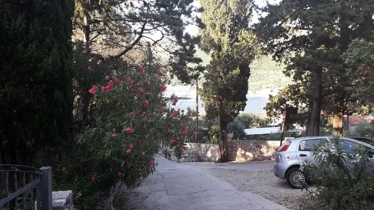 Oda, 1 Yatak Odası, Sigara İçilebilir, Teras