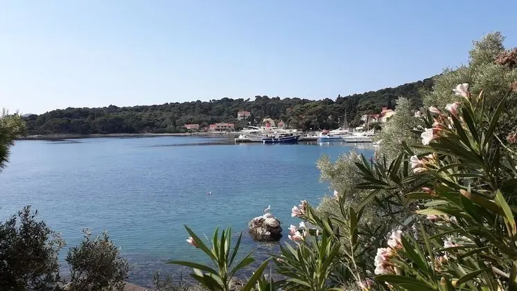 Oda, 1 Yatak Odası, Sigara İçilebilir, Teras