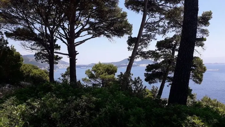 Oda, 1 Yatak Odası, Sigara İçilebilir, Teras