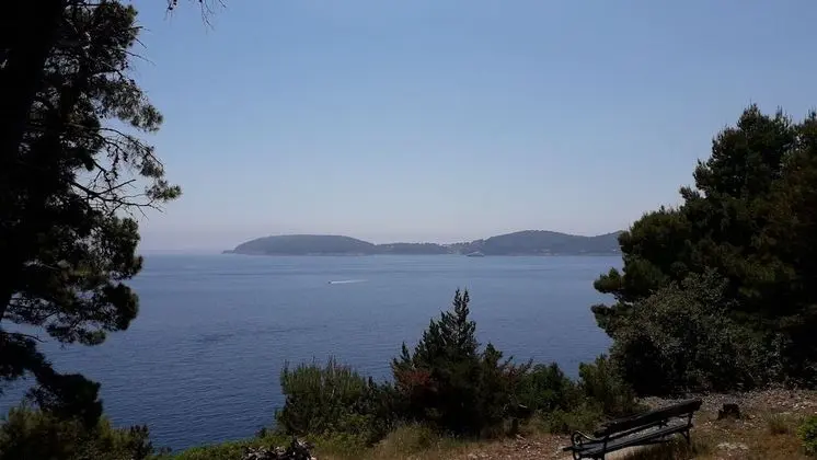 Oda, 1 Yatak Odası, Sigara İçilebilir, Teras