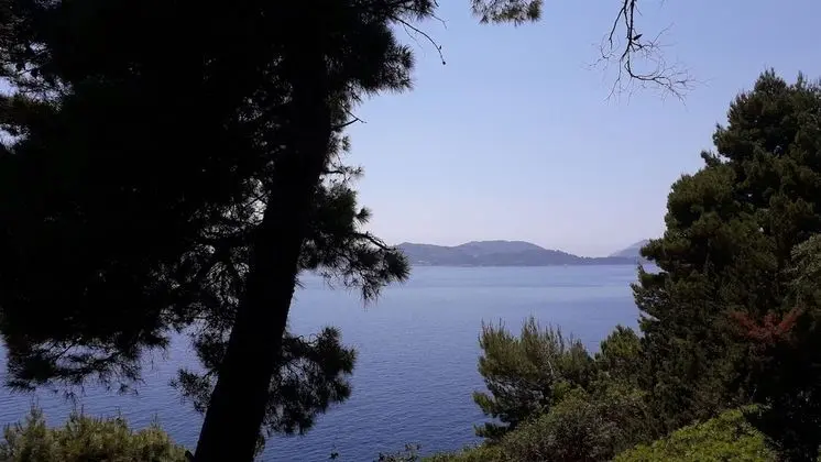 Oda, 1 Yatak Odası, Sigara İçilebilir, Teras
