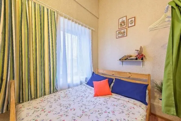 Standard Tek Büyük Yataklı Oda, 1 Çift Kişilik Yatak