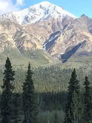 Kulübe, Birden Çok Yatak, Sigara İçilmez
