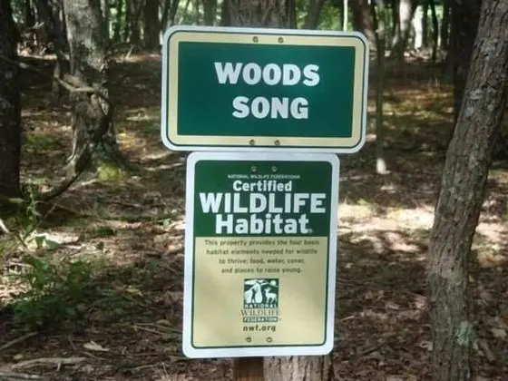 Ev, Birden Çok Yatak (Woods Song)