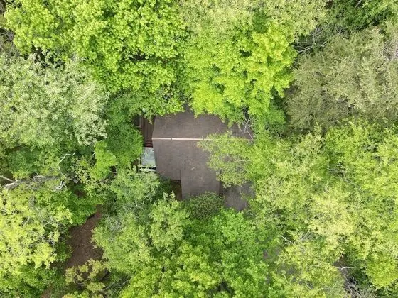 Ev, Birden Çok Yatak (Woods Song)
