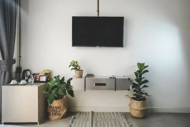 Standard Tek Büyük Yataklı Oda, 1 En Büyük (King) Boy Yatak