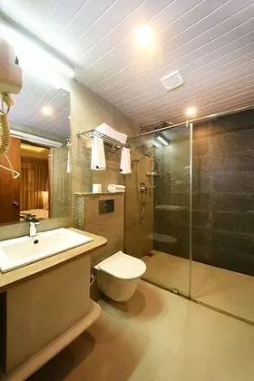 Deluxe Tek Kişilik Oda, 1 Yatak Odası, Sigara İçilmez, Şehir Manzaralı