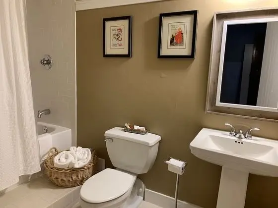 Luxury Tek Büyük Yataklı Oda, 1 En Büyük (King) Boy Yatak, Teras, Dağ Manzaralı