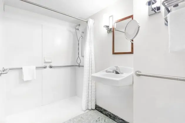 Oda, 1 En Büyük (King) Boy Yatak, Engellilere Uygun (Roll In Shower)