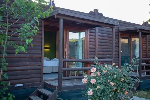 Standart Bungalow, Havuz Manzaralı, Ortak Havuzlu