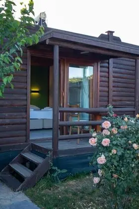 Standart Bungalow, Havuz Manzaralı, Ortak Havuzlu