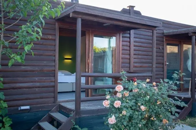 Standart Bungalow, Havuz Manzaralı, Ortak Havuzlu