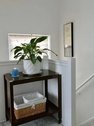 Ev