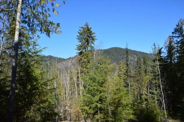 Panoramic Cabin, 1 Bedroom, Central Hot Tub, Near Lake, Shared Bathroom (Towels Optional)