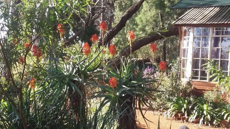 Romantic Dağ Evi, 1 Yatak Odası, Sigara İçilmez, Dağ Manzaralı