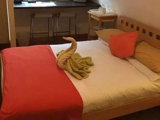Tek Büyük Yataklı Oda, Banyolu/Duşlu