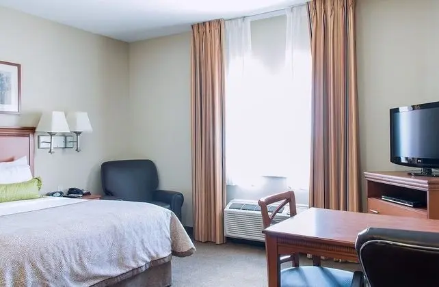 Stüdyo Süit, 1 Büyük (Queen) Boy Yatak