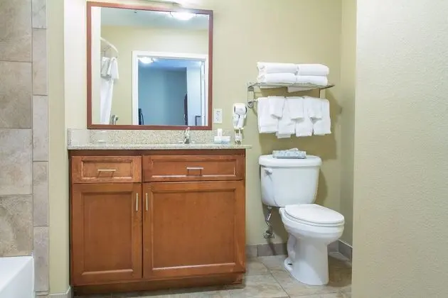 Stüdyo Süit, 1 Büyük (Queen) Boy Yatak, Engellilere Uygun (Mobility Tub)