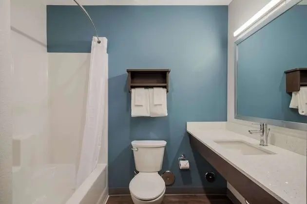 Süit, 1 Büyük (Queen) Boy Yatak, Engellilere Uygun, Sigara İçilmez (Accessible Tub)