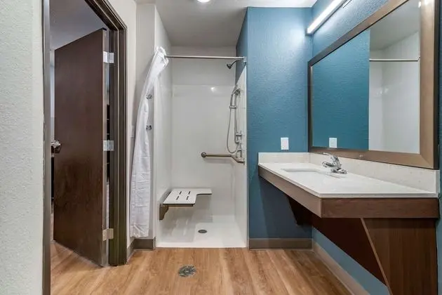 Deluxe Stüdyo, 1 Büyük (Queen) Boy Yatak ve Çekyat, Engellilere Uygun (Accessible Tub)