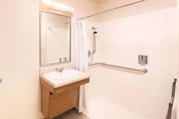Oda, 1 Çift Kişilik Yatak, Engellilere Uygun, Sigara İçilmez (Roll-In Shower)