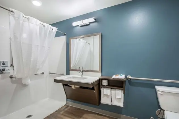 Oda, 1 Büyük (Queen) Boy Yatak, Engellilere Uygun, Sigara İçilmez (Roll-In Shower)