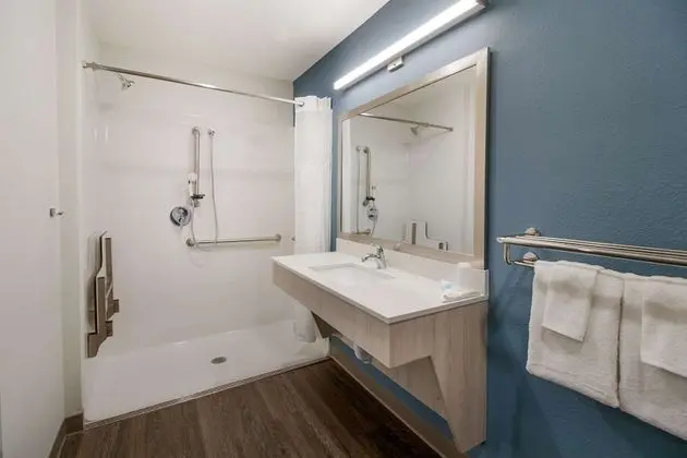 Süit, 1 Büyük (Queen) Boy Yatak, Engellilere Uygun, Sigara İçilmez (Accessible Tub)