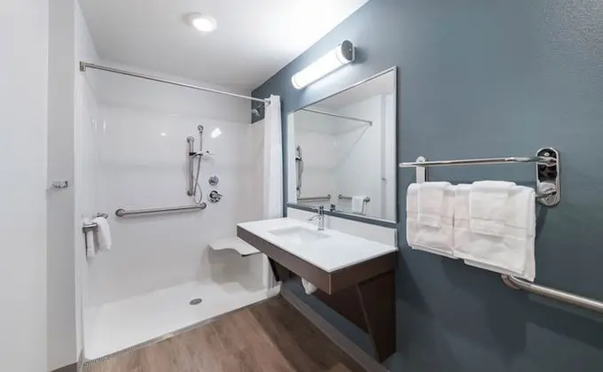 Oda, 1 Büyük (Queen) Boy Yatak, Engellilere Uygun, Sigara İçilmez (Roll-in Shower)